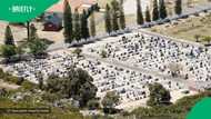 "Sobonana emathuneni'": 400 Durban families in homes built over graveyard leave South Africa stunned