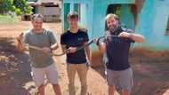 7 Deadly snakes: Nick Evans rescues 7 black mambas in week