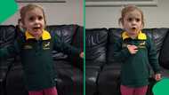 "Give Rassie a call": Cutest Springboks supporter proudly belts national anthem, SA moved