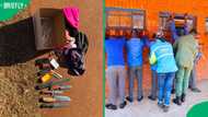 Gauteng Police discover knives, machetes and other weapons during Khutsong school raid, SA reacts