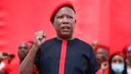 'Julius is high': Mzansi weighs in on Malema's idea to put the UK on SA's red list