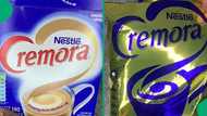 "In the past few years, the taste changed a lot": Mzansi bids farewell to 77-year-old Nestle product, Cremora