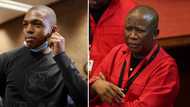 "It’s a lie": Julius Malema calls Nhlanhla "Lux" Dlamini out for "lying" about petrol bombing at his house