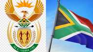 South African coat of arms and flag: meaning of symbols and colours (images)