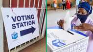 2024 Elections: Over 350 Parties With IEC, Spoiling Voters for Choice