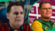 The full list of teams Rassie Erasmus coached: from Cheetahs to Springboks