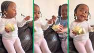 South African netizens amused by little girl's "haibo" reaction to Woolworths cheesecake on Tiktok