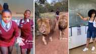 Weekly wrap: High school girls in mini-skirts dance in viral video and beautiful SA woman walks 2 male lions