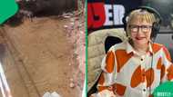 Man invited Helen Zille for a swim after she turned flooded Johannesburg streets into pool