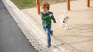 Viral video shows little boy running away from small dog in fear, amused netizens poke fun at child's trauma