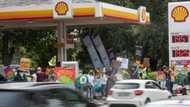 Shell stopped by court, Wild Coast seismic survey put on hold until further notice