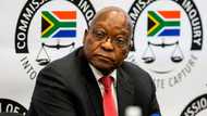 Former President Jacob Zuma's legal team says ANC benefited from arms deal, not Zuma