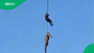 Man explained how police identified crocodile linked to Limpopo fatal incident