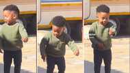 Adorable toddler boy does trending Mnike dance challenge: Mzansi gushes over the cute groover