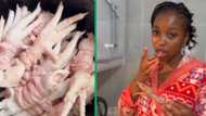 Woman prepares intestine-wrapped chicken feet in TikTok video, SA cracks jokes over recipe