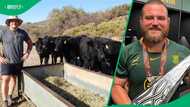 Springboks star Wilco Louw’s family farm in the Cederberg Mountains revealed
