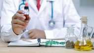 SA's first medical marijuana chemist, THC Pharmacy given the green light in Gauteng and KwaZulu-Natal