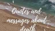 30 rest in peace quotes, messages and sayings