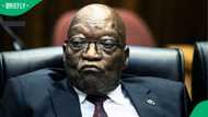 SCA dismisses Zuma's appeal to remove Billy Downer from case, South Africans call it delay tactics