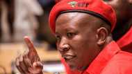 Julius Malema says have as many children as you want, the EFF government will feed them