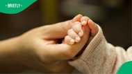 Gauteng in mourning: 2 infant bodies discovered only days apart, police investigate