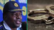 SAPS arrest police officer and 8 suspects for Johannesburg kidnapping and ransom syndicate, SA disappointed