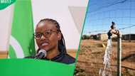 Tshwane Mayor Nasiphi Moya faces criminal cases over Bronkhorstspruit water crisis