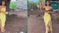 Funny video shows gorgeous lady in pretty dress catching 2 live chickens by hand