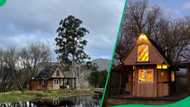 "I wouldn’t want to check out": SA in love with dreamy vacation cabin in Eastern Cape