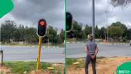 Sunninghill traffic lights exposed after repeated malfunctions