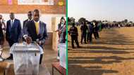 Zimbabwe's electoral chaos exposed by observer missions, netizens discuss reports
