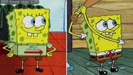 'SpongeBob SquarePants' premieres Zulu episodes, Mzansi cartoon fans laugh out loud: "The funniest thing ever"
