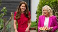 Kate Middleton compared to Meghan Markle for being "too political"