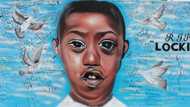 Allegations of deception around the murder of Nathaniel Julies brought to light