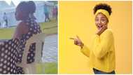 Emotional damage: Internet users amused as lady spotted at event in matching outfit with chair