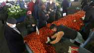 Turkish inflation tops 85%, highest since 1997