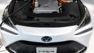 Spain bets on green hydrogen in clean energy push