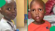 "Can be a good lawyer": Little boy calls mom out for denying him food, SA smiles from ear to ear