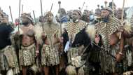 S.Africa's Zulus to crown new king as succession row rages