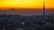 Japan inflation hits four percent in December