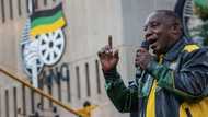 Mzansi anticipates ANC's manifesto launch, expert believes ruling party will beg for forgiveness