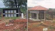 2 Pics of fancy tombstones leave Mzansi divided over their purpose in heated debate, "Waste of money"