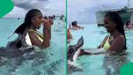 Woman’s ocean adventure turns chaotic as stingray attacks in video, SA stunned