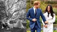 Halala: Meghan Markle and Prince Harry expecting 2nd child together