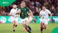 Du Toit pulls no punches after Springboks suffer painful All Blacks defeat