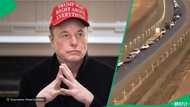 "So many crosses": Elon Musk reacts to clip of farmers' memorial site, Witkruis Monument, SA divides