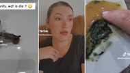 Another TikTok video shows green muck coming from baby food pouch by “trusted” brand Purity: Mzansi is fuming