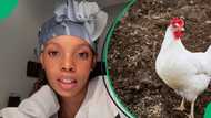 Woman faces fear, hilariously holds live chicken: "Never again"