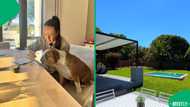 Mzansi reacted to a full house transformation, complete with a modern pool and entertainment area