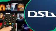 Full list of DStv Compact Plus channels and the updated price